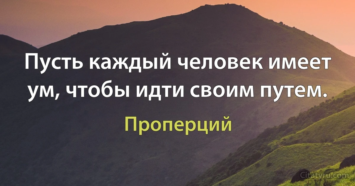 Пусть каждый человек имеет ум, чтобы идти своим путем. (Проперций)