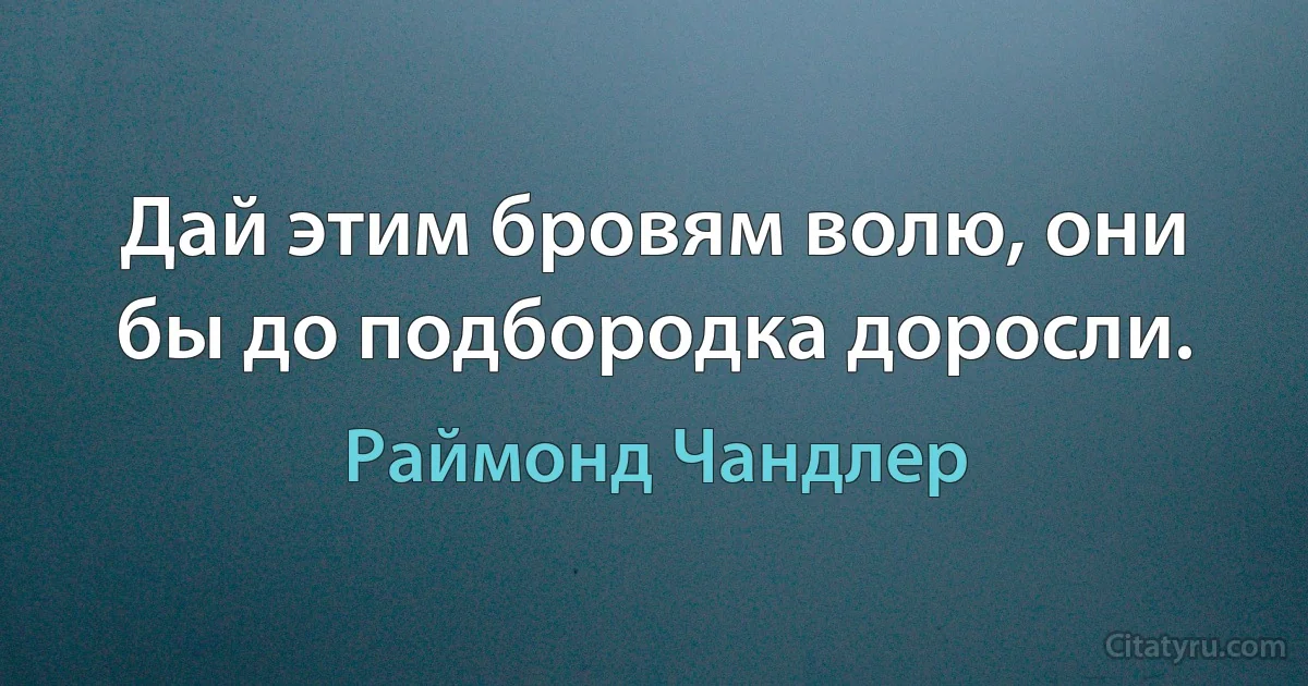 Дай этим бровям волю, они бы до подбородка доросли. (Раймонд Чандлер)