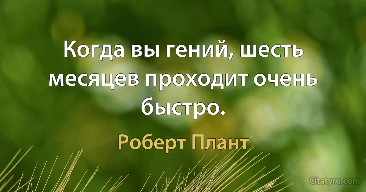 Когда вы гений, шесть месяцев проходит очень быстро. (Роберт Плант)