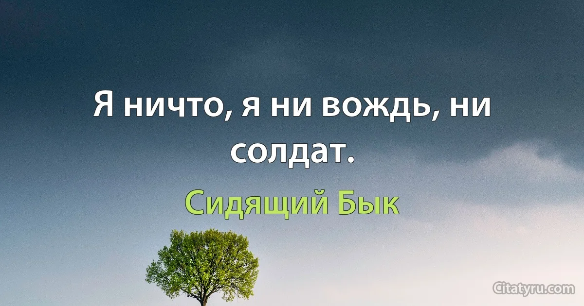 Я ничто, я ни вождь, ни солдат. (Сидящий Бык)