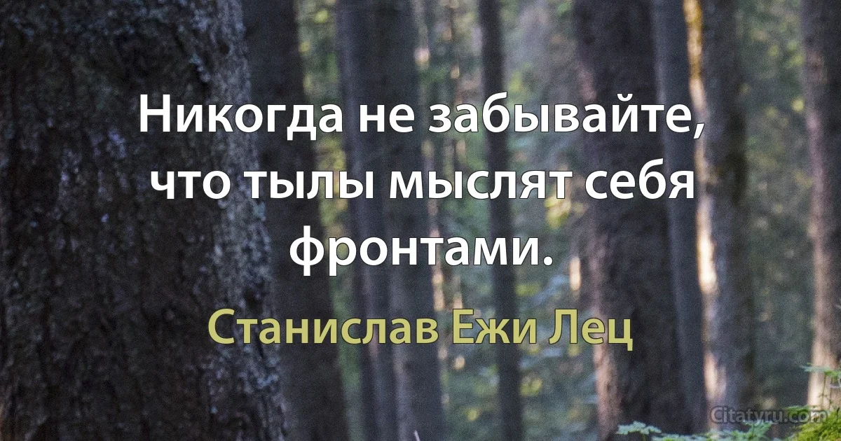 Никогда не забывайте, что тылы мыслят себя фронтами. (Станислав Ежи Лец)