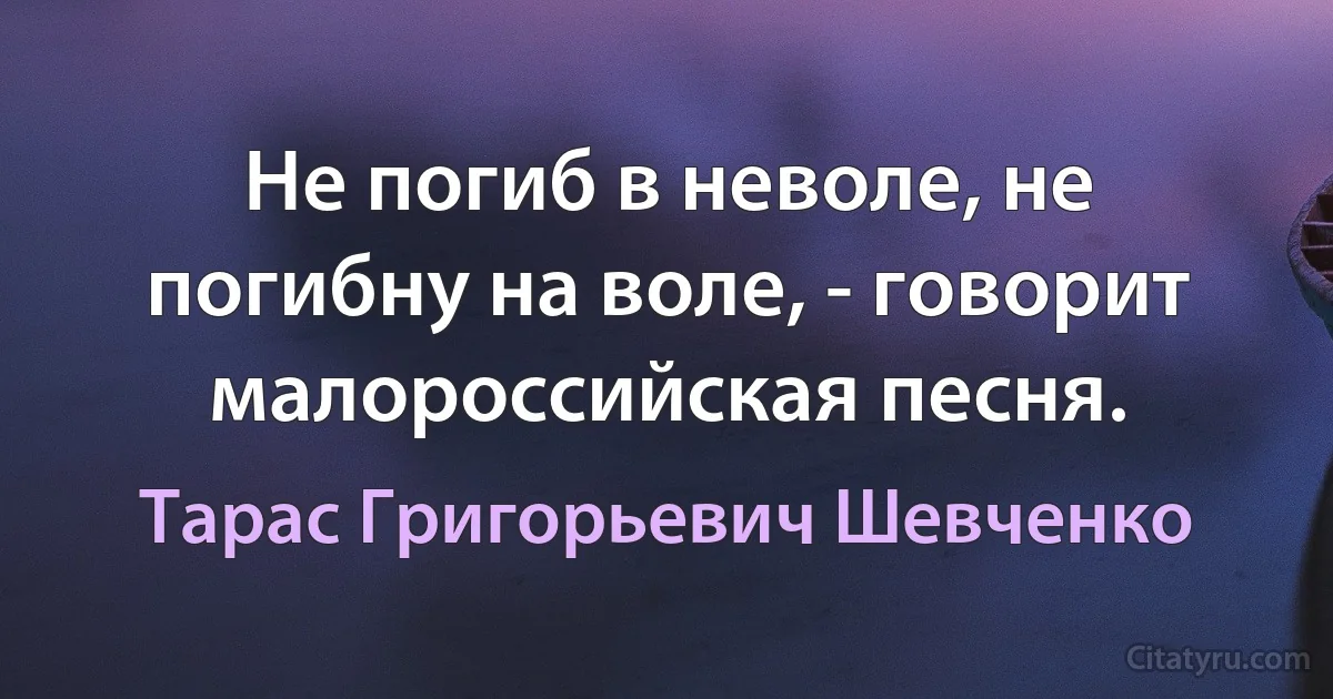 Не погиб в неволе, не погибну на воле, - говорит малороссийская песня. (Тарас Григорьевич Шевченко)