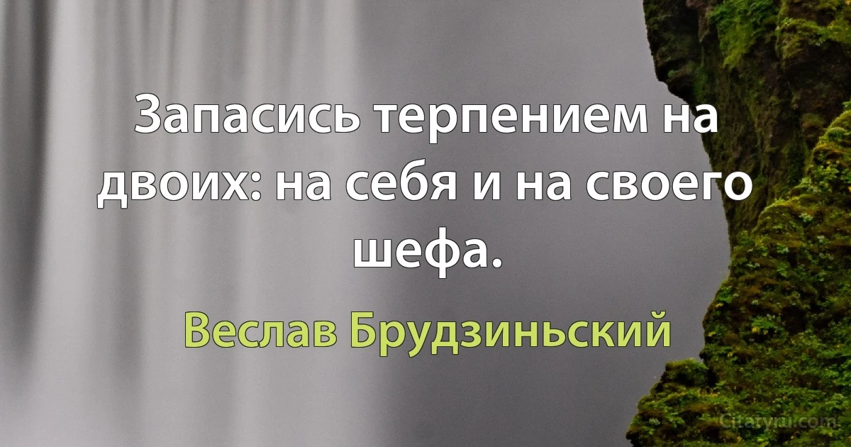 Запасись терпением на двоих: на себя и на своего шефа. (Веслав Брудзиньский)