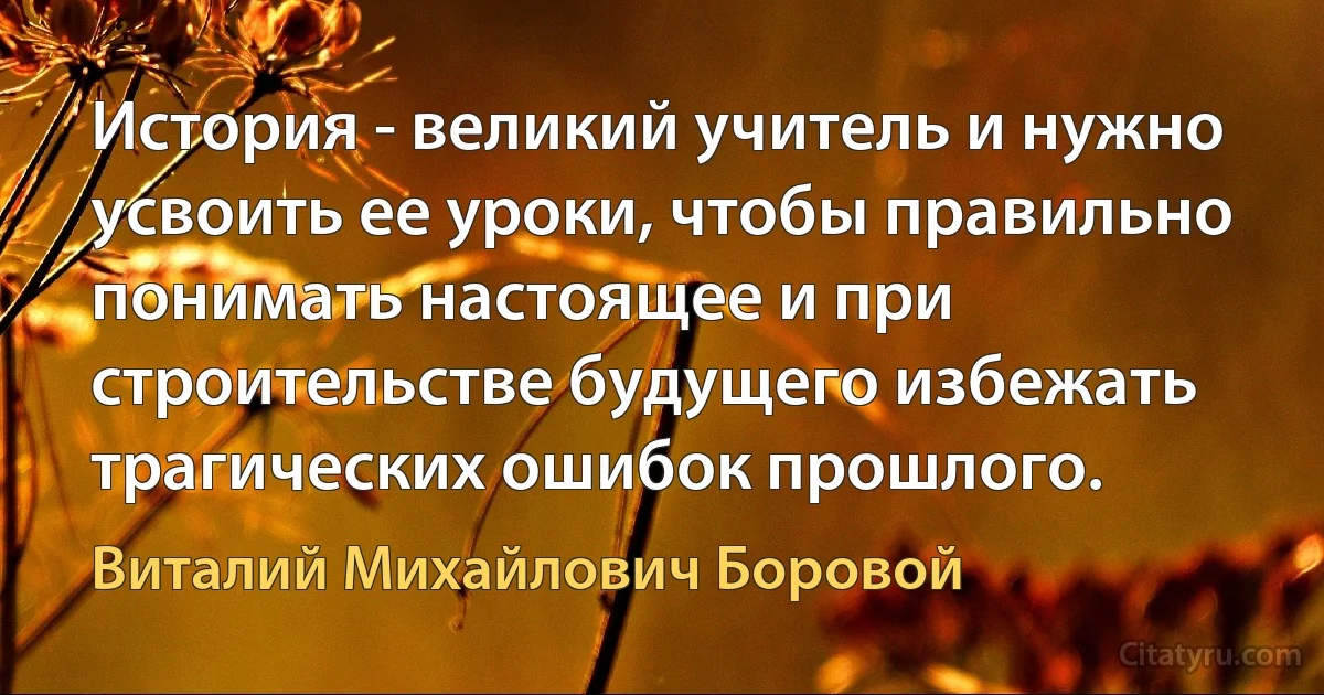 История - великий учитель и нужно усвоить ее уроки, чтобы правильно понимать настоящее и при строительстве будущего избежать трагических ошибок прошлого. (Виталий Михайлович Боровой)