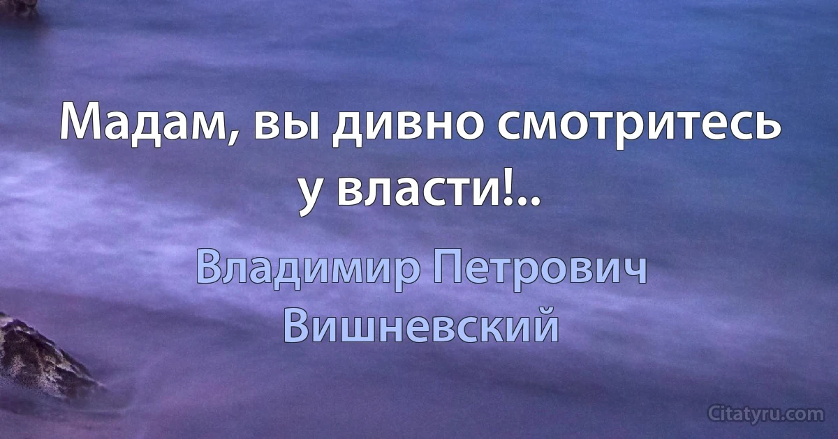 Мадам, вы дивно смотритесь у власти!.. (Владимир Петрович Вишневский)