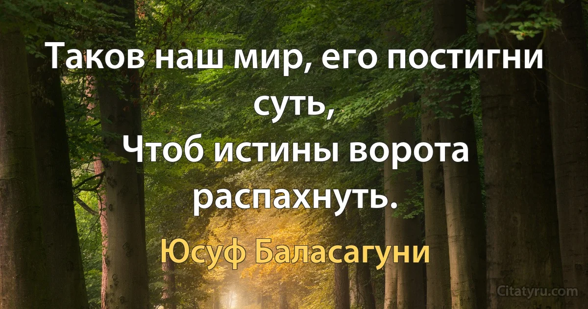 Таков наш мир, его постигни суть,
Чтоб истины ворота распахнуть. (Юсуф Баласагуни)