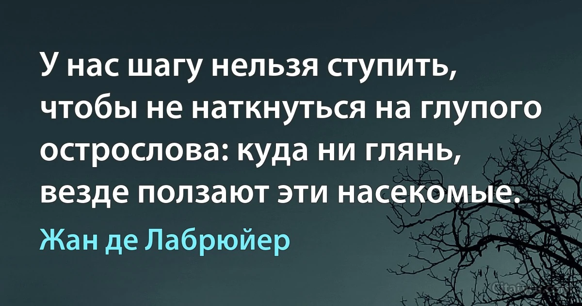 У нас шагу нельзя ступить, чтобы не наткнуться на глупого острослова: куда ни глянь, везде ползают эти насекомые. (Жан де Лабрюйер)