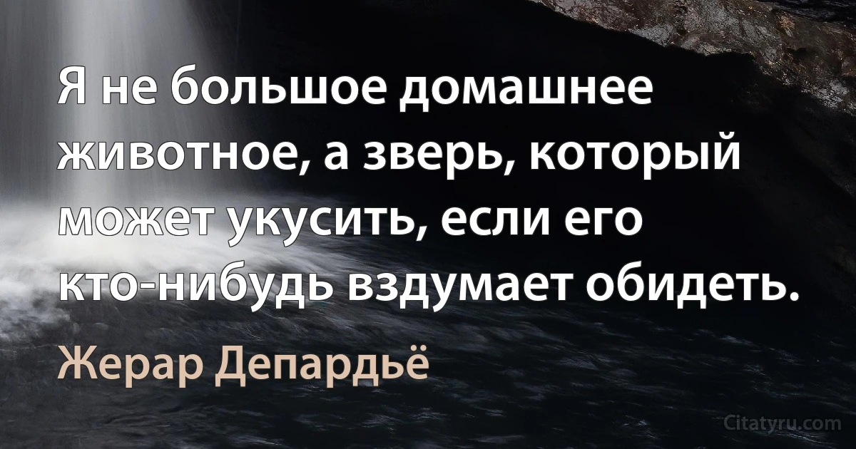 Я не большое домашнее животное, а зверь, который может укусить, если его кто-нибудь вздумает обидеть. (Жерар Депардьё)