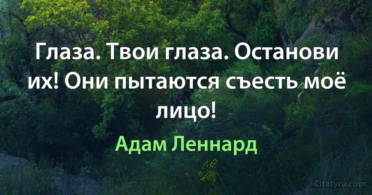 Глаза. Твои глаза. Останови их! Они пытаются съесть моё лицо! (Адам Леннард)