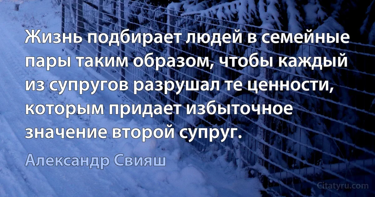 Жизнь подбирает людей в семейные пары таким образом, чтобы каждый из супругов разрушал те ценности, которым придает избыточное значение второй супруг. (Александр Свияш)