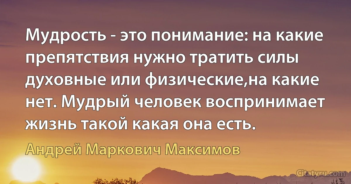 Мудрость - это понимание: на какие препятствия нужно тратить силы духовные или физические,на какие нет. Мудрый человек воспринимает жизнь такой какая она есть. (Андрей Маркович Максимов)