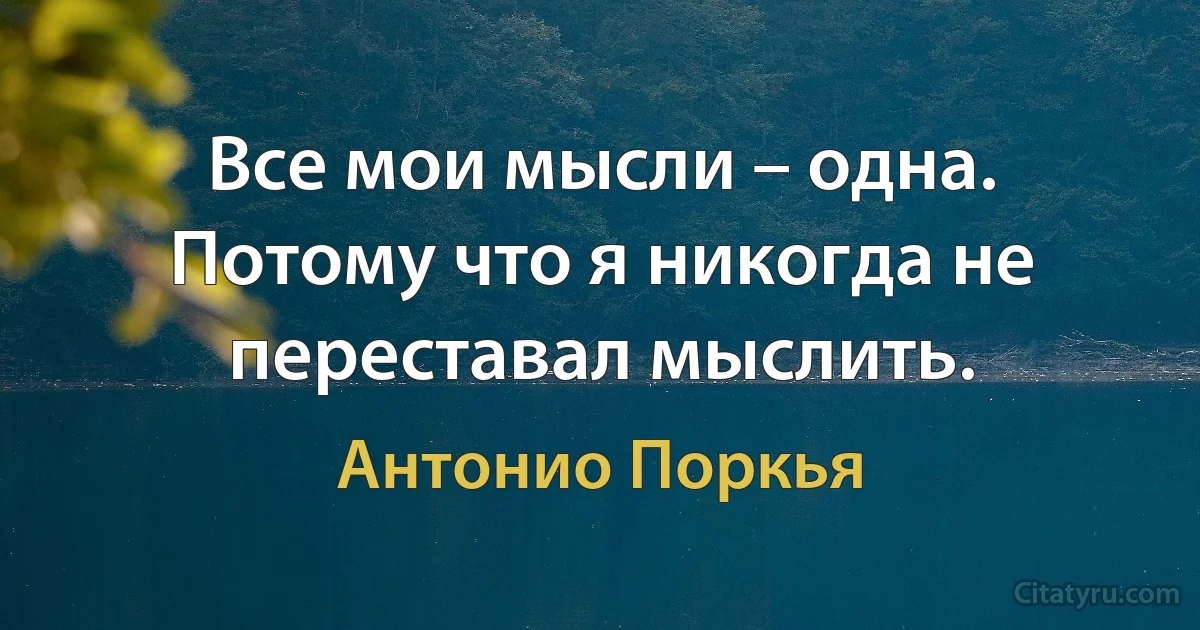 Все мои мысли – одна. Потому что я никогда не переставал мыслить. (Антонио Поркья)