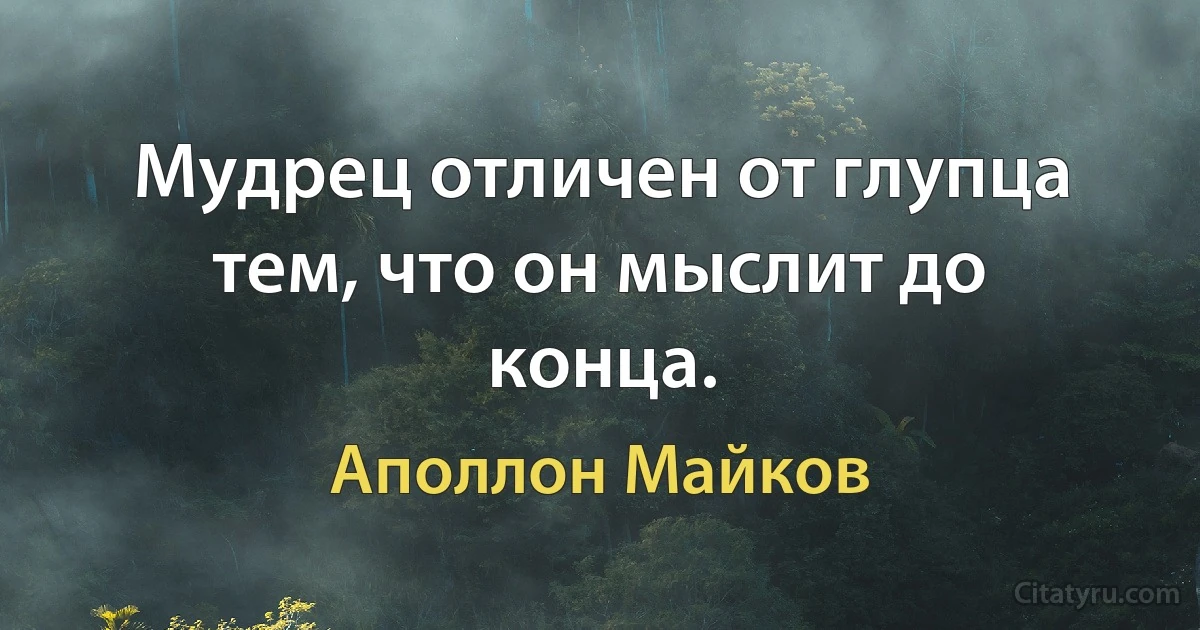 Мудрец отличен от глупца тем, что он мыслит до конца. (Аполлон Майков)