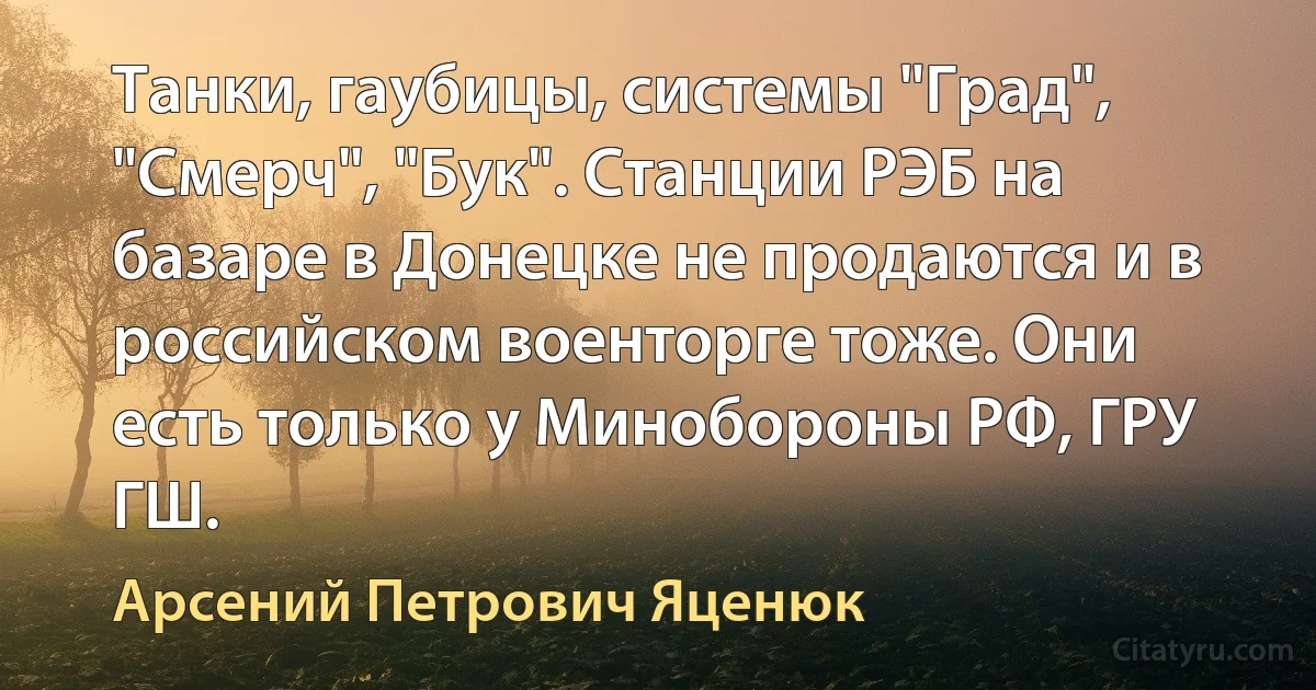 Танки, гаубицы, системы "Град", "Смерч", "Бук". Станции РЭБ на базаре в Донецке не продаются и в российском военторге тоже. Они есть только у Минобороны РФ, ГРУ ГШ. (Арсений Петрович Яценюк)