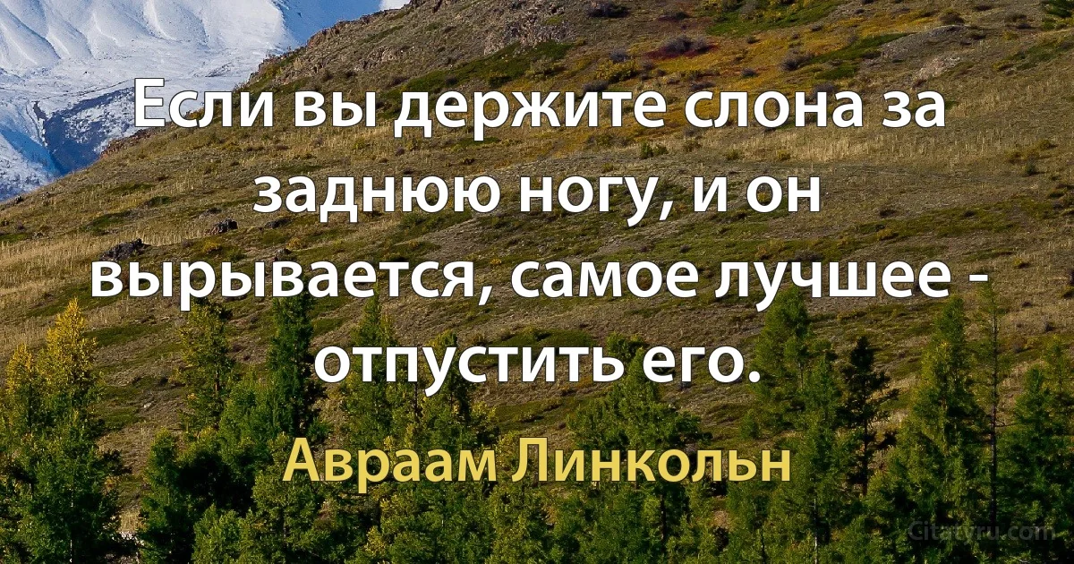 Если вы держите слона за заднюю ногу, и он вырывается, самое лучшее - отпустить его. (Авраам Линкольн)