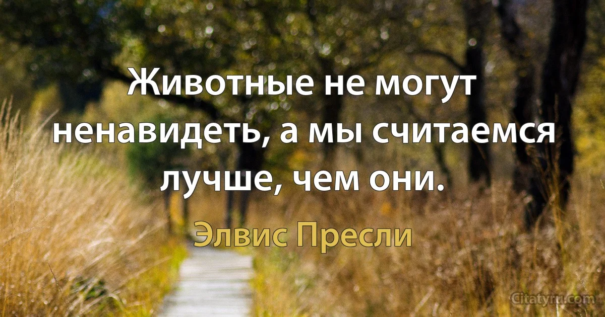 Животные не могут ненавидеть, а мы считаемся лучше, чем они. (Элвис Пресли)