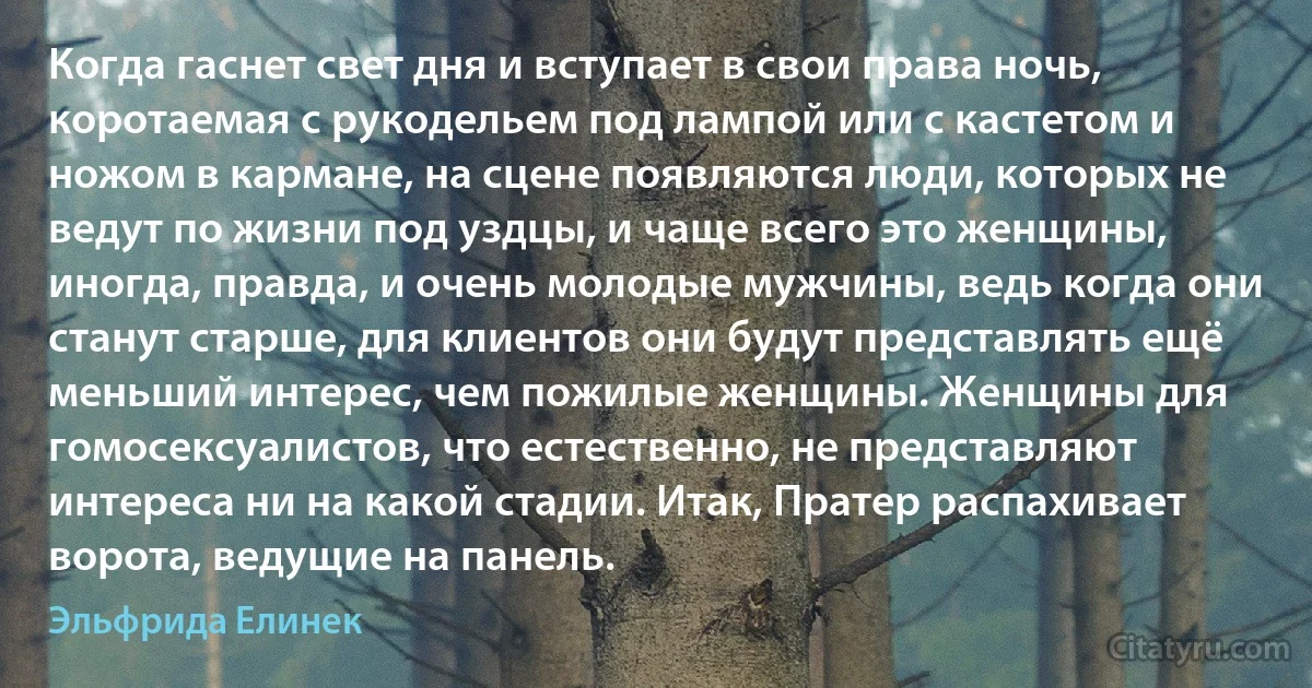 Когда гаснет свет дня и вступает в свои права ночь, коротаемая с рукодельем под лампой или с кастетом и ножом в кармане, на сцене появляются люди, которых не ведут по жизни под уздцы, и чаще всего это женщины, иногда, правда, и очень молодые мужчины, ведь когда они станут старше, для клиентов они будут представлять ещё меньший интерес, чем пожилые женщины. Женщины для гомосексуалистов, что естественно, не представляют интереса ни на какой стадии. Итак, Пратер распахивает ворота, ведущие на панель. (Эльфрида Елинек)