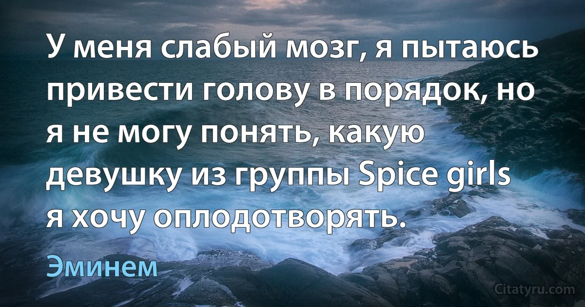 У меня слабый мозг, я пытаюсь привести голову в порядок, но я не могу понять, какую девушку из группы Spice girls я хочу оплодотворять. (Эминем)