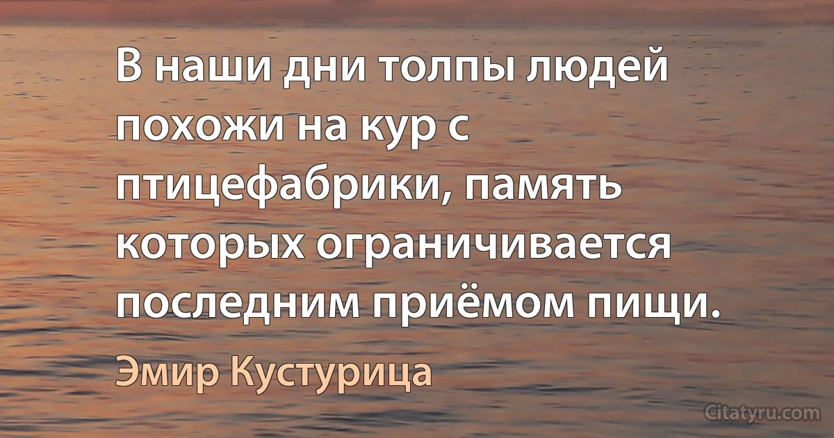 В наши дни толпы людей похожи на кур с птицефабрики, память которых ограничивается последним приёмом пищи. (Эмир Кустурица)