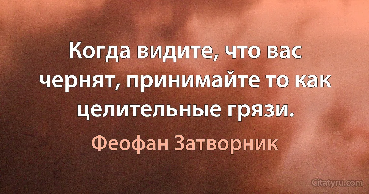 Когда видите, что вас чернят, принимайте то как целительные грязи. (Феофан Затворник)