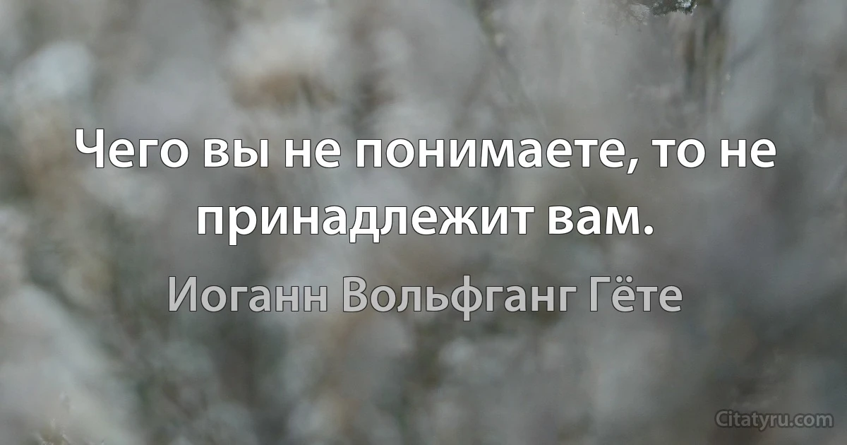 Чего вы не понимаете, то не принадлежит вам. (Иоганн Вольфганг Гёте)