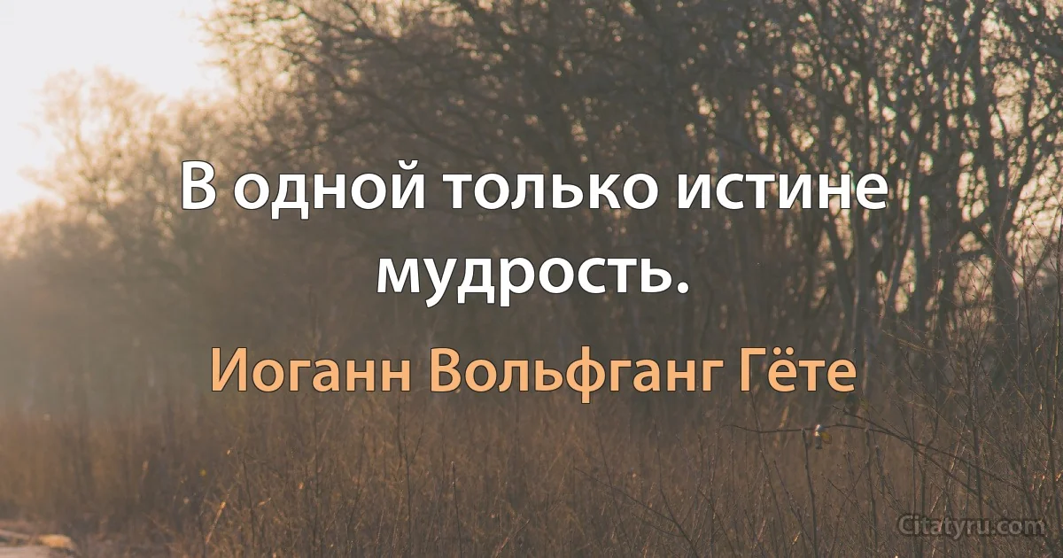 В одной только истине мудрость. (Иоганн Вольфганг Гёте)