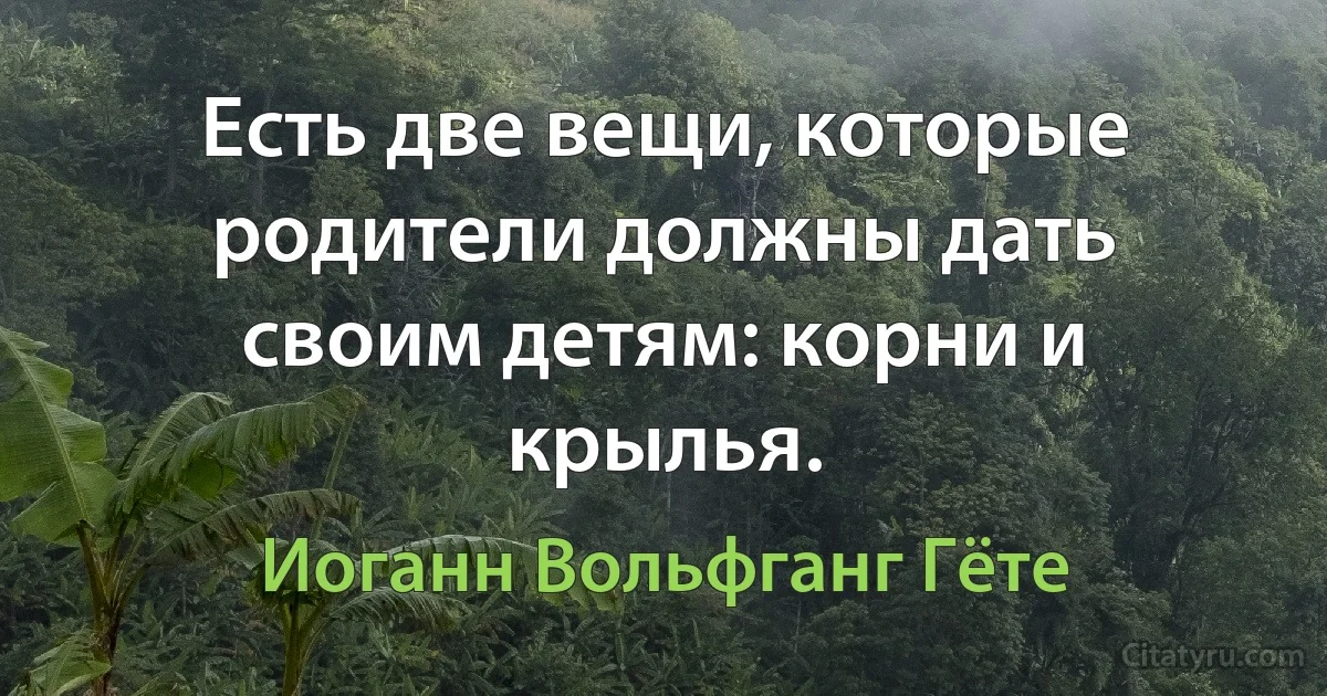 Есть две вещи, которые родители должны дать своим детям: корни и крылья. (Иоганн Вольфганг Гёте)