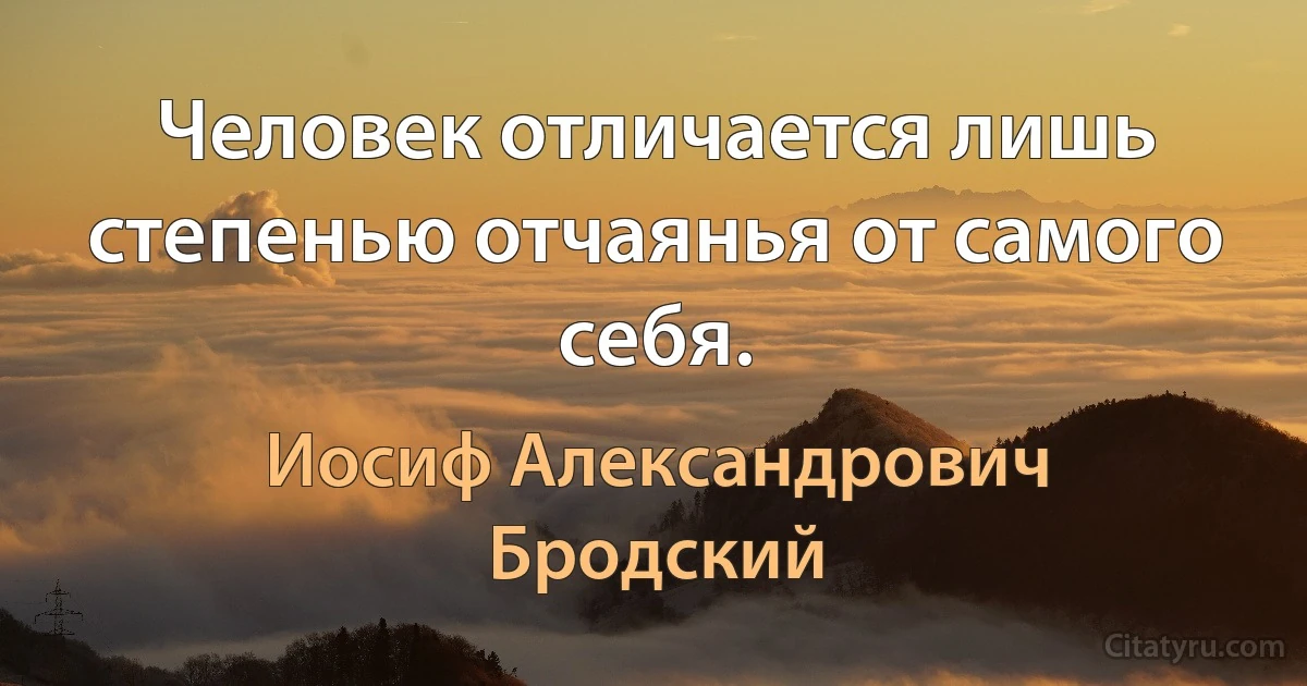 Человек отличается лишь степенью отчаянья от самого себя. (Иосиф Александрович Бродский)