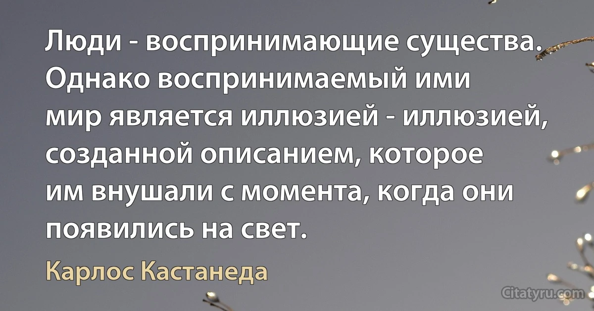 Люди - воспринимающие существа. Однако воспринимаемый ими
мир является иллюзией - иллюзией, созданной описанием, которое
им внушали с момента, когда они появились на свет. (Карлос Кастанеда)