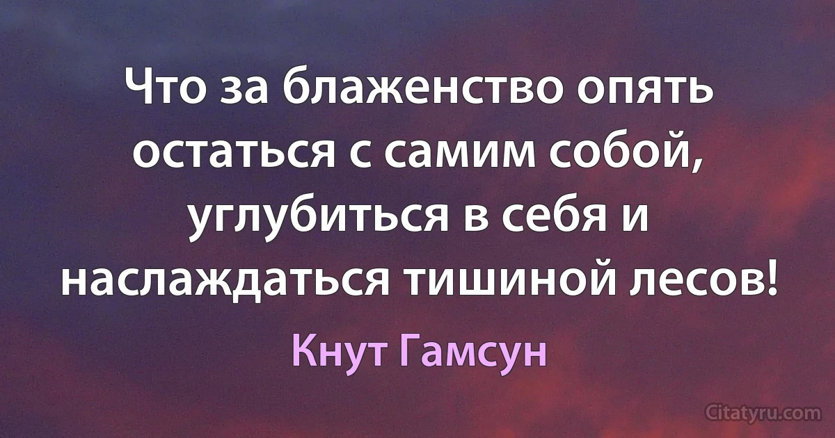 Что за блаженство опять остаться с самим собой, углубиться в себя и наслаждаться тишиной лесов! (Кнут Гамсун)