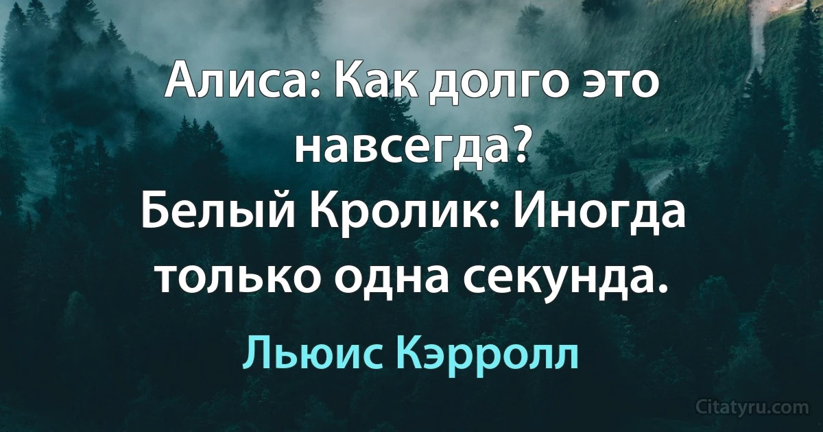 Алиса: Как долго это навсегда?
Белый Кролик: Иногда только одна секунда. (Льюис Кэрролл)