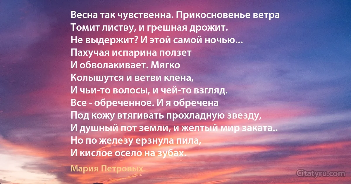 Весна так чувственна. Прикосновенье ветра
Томит листву, и грешная дрожит.
Не выдержит? И этой самой ночью...
Пахучая испарина ползет
И обволакивает. Мягко
Колышутся и ветви клена,
И чьи-то волосы, и чей-то взгляд.
Все - обреченное. И я обречена
Под кожу втягивать прохладную звезду,
И душный пот земли, и желтый мир заката..
Но по железу ерзнула пила,
И кислое осело на зубах. (Мария Петровых)