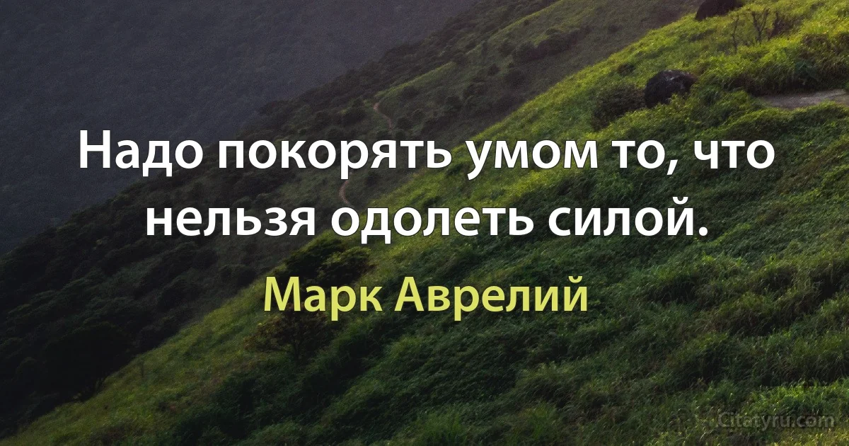 Надо покорять умом то, что нельзя одолеть силой. (Марк Аврелий)