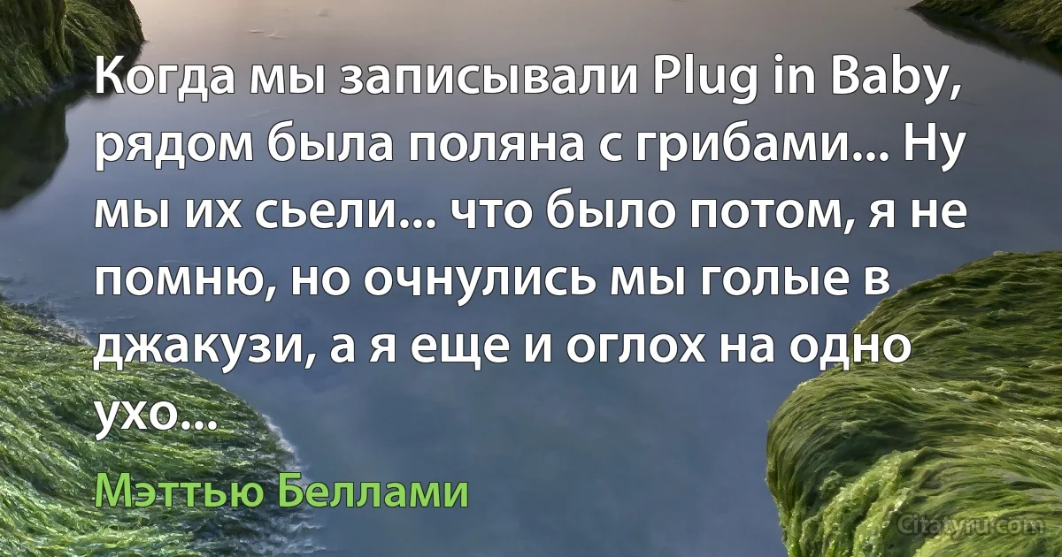 Когда мы записывали Plug in Baby, рядом была поляна с грибами... Ну мы их сьели... что было потом, я не помню, но очнулись мы голые в джакузи, а я еще и оглох на одно ухо... (Мэттью Беллами)