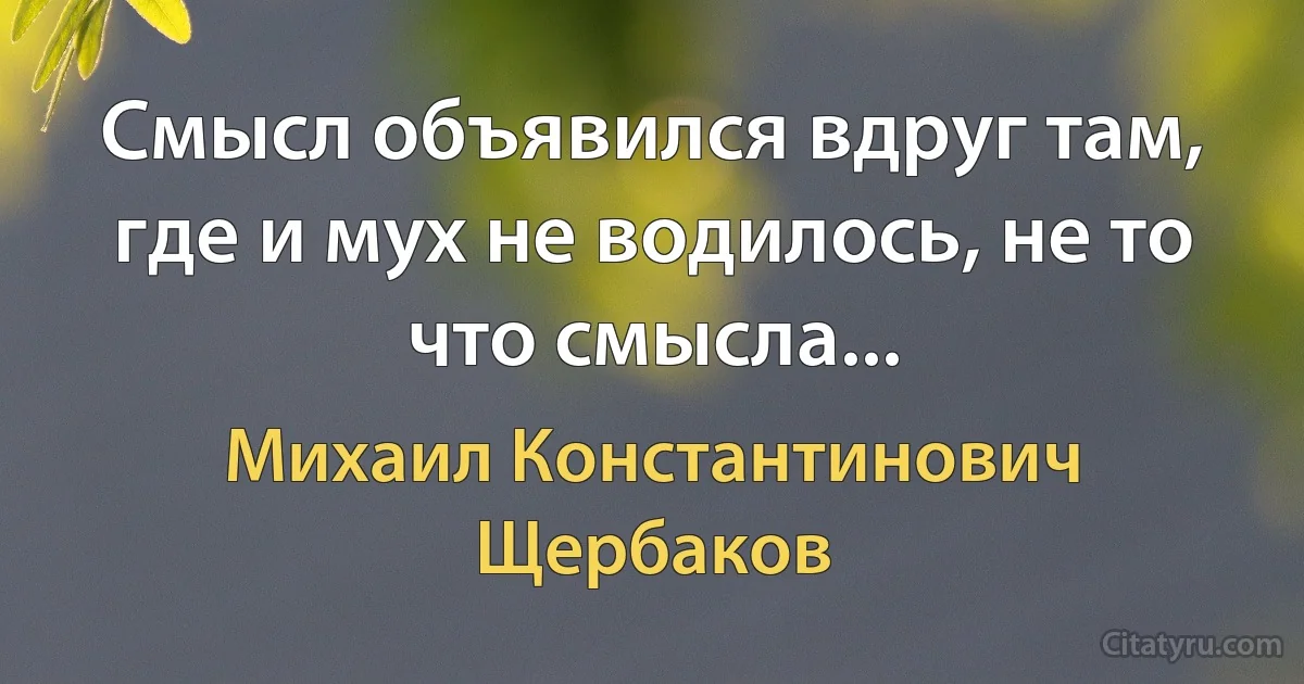 Смысл объявился вдруг там, где и мух не водилось, не то что смысла... (Михаил Константинович Щербаков)