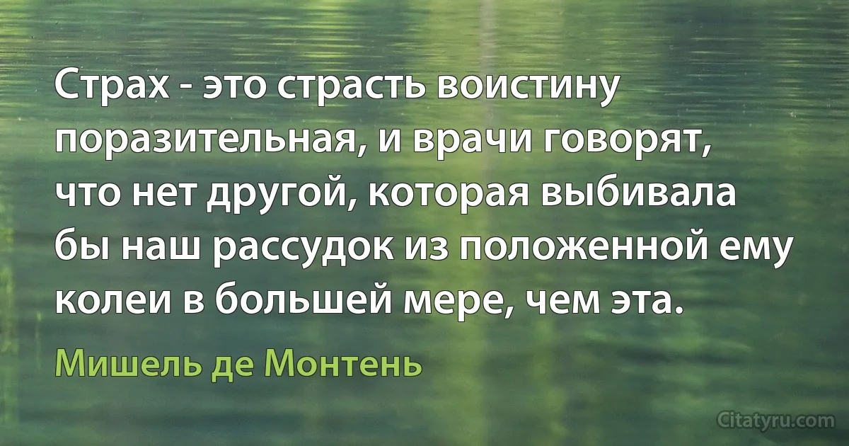 Страх - это страсть воистину поразительная, и врачи говорят, что нет другой, которая выбивала бы наш рассудок из положенной ему колеи в большей мере, чем эта. (Мишель де Монтень)