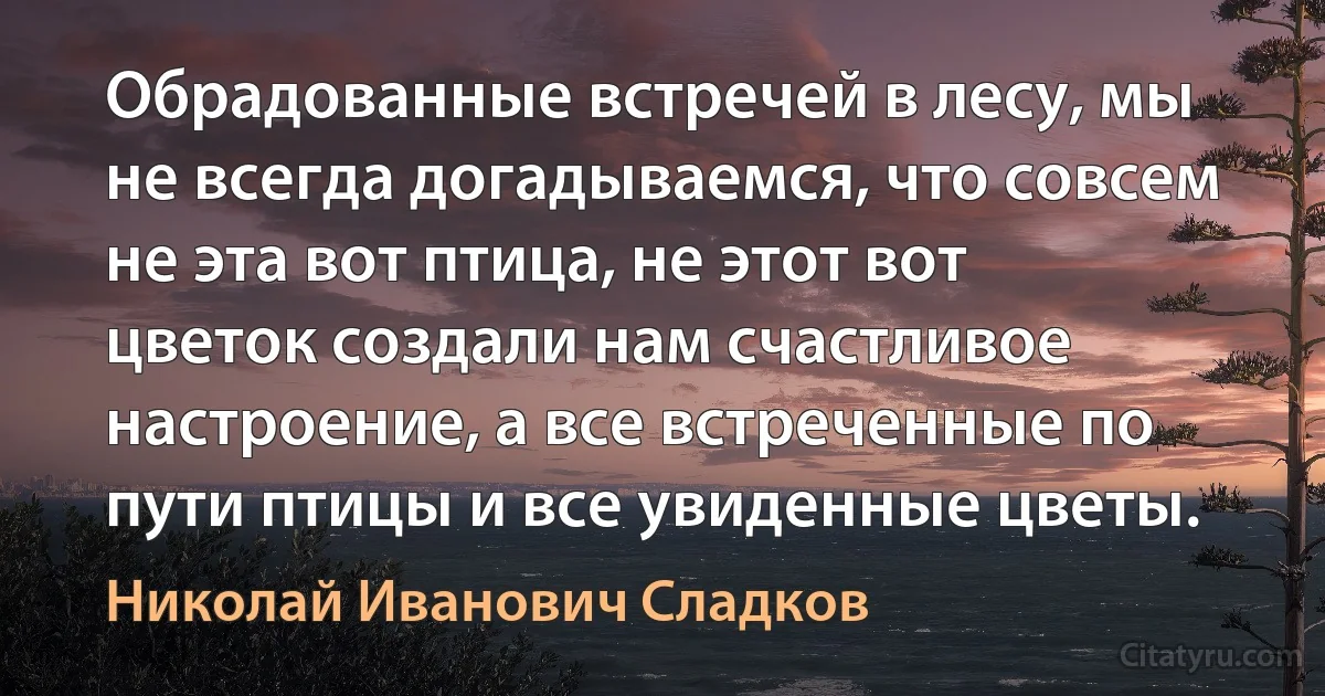 Обрадованные встречей в лесу, мы не всегда догадываемся, что совсем не эта вот птица, не этот вот цветок создали нам счастливое настроение, а все встреченные по пути птицы и все увиденные цветы. (Николай Иванович Сладков)