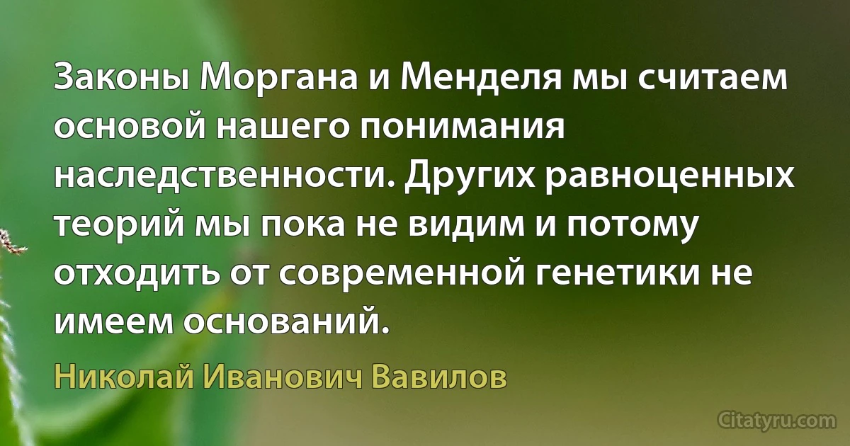 Законы Моргана и Менделя мы считаем основой нашего понимания наследственности. Других равноценных теорий мы пока не видим и потому отходить от современной генетики не имеем оснований. (Николай Иванович Вавилов)