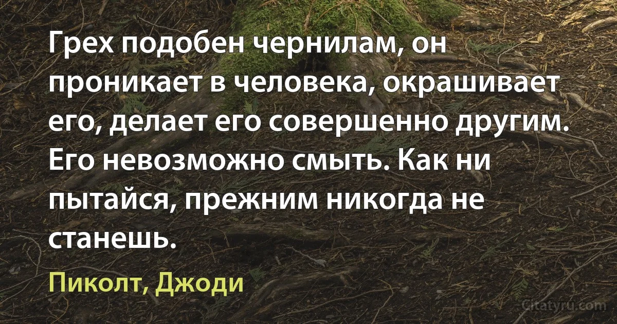 Грех подобен чернилам, он проникает в человека, окрашивает его, делает его совершенно другим. Его невозможно смыть. Как ни пытайся, прежним никогда не станешь. (Пиколт, Джоди)