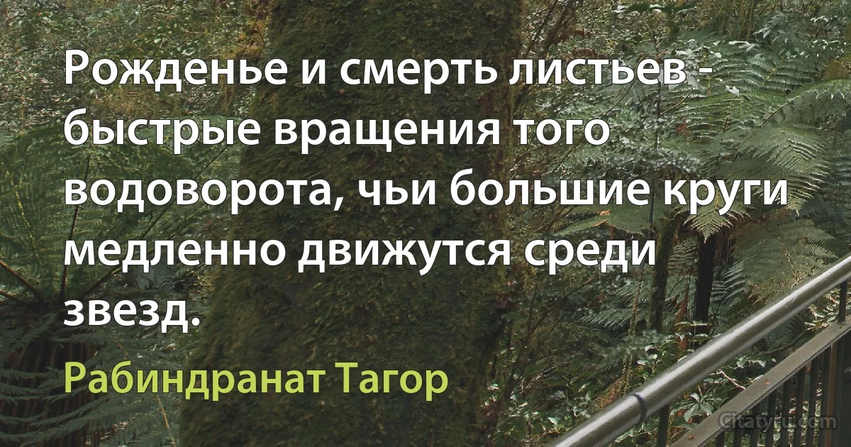 Рожденье и смерть листьев - быстрые вращения того водоворота, чьи большие круги медленно движутся среди звезд. (Рабиндранат Тагор)