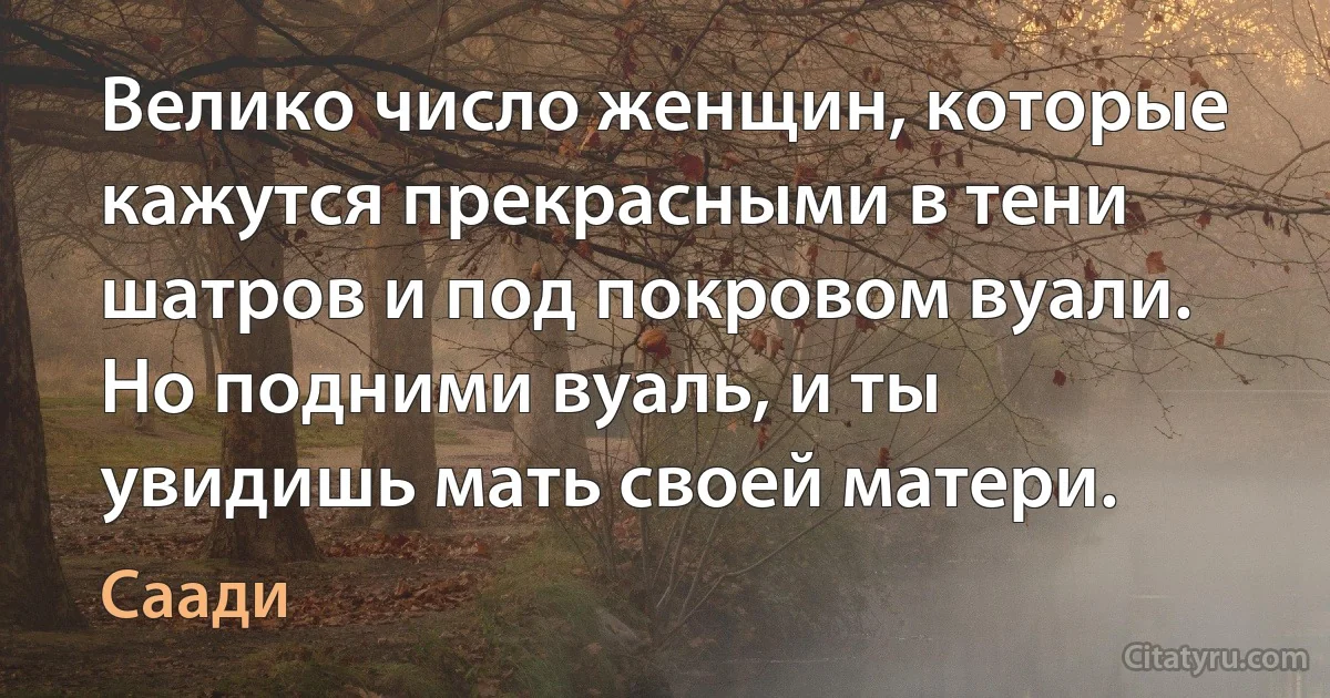 Велико число женщин, которые кажутся прекрасными в тени шатров и под покровом вуали. Но подними вуаль, и ты увидишь мать своей матери. (Саади)