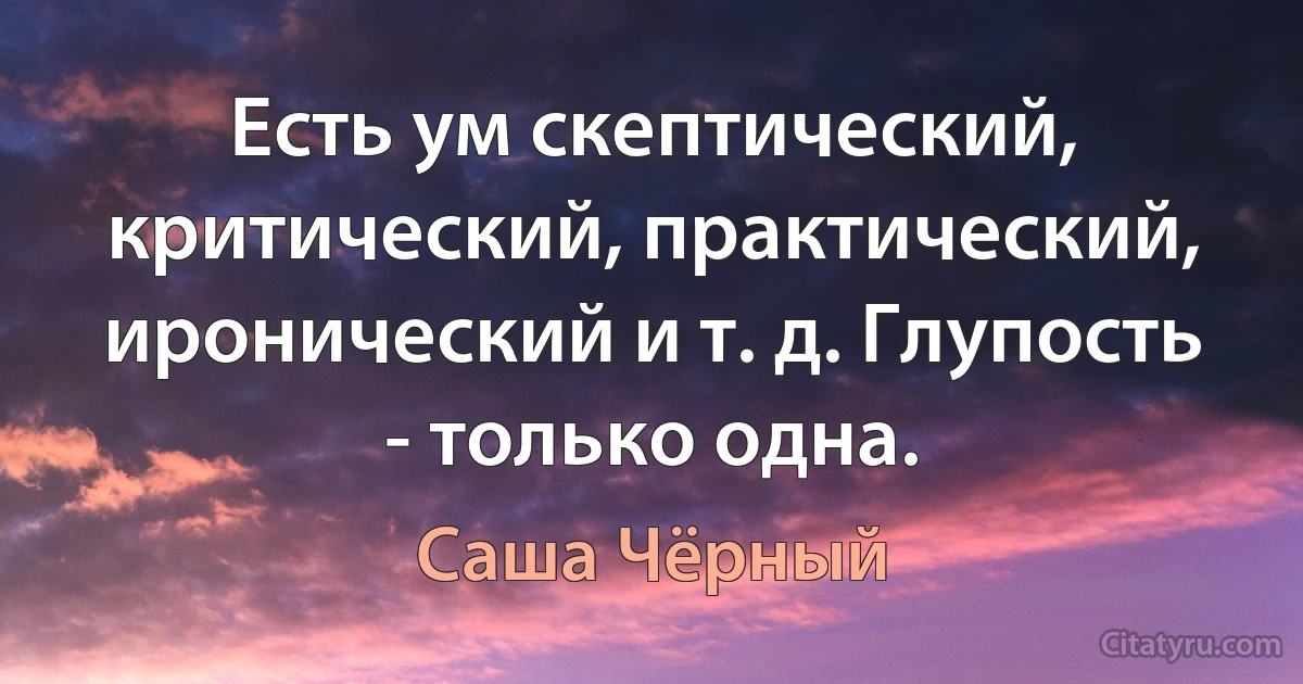 Есть ум скептический, критический, практический, иронический и т. д. Глупость - только одна. (Саша Чёрный)