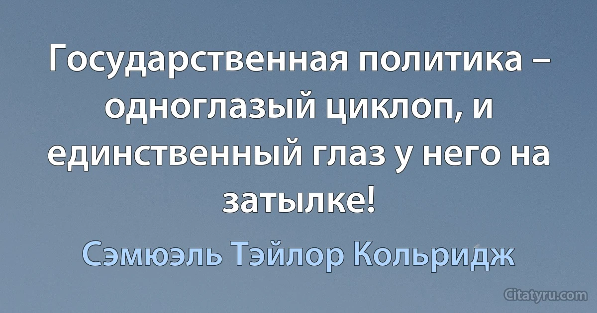 Государственная политика – одноглазый циклоп, и единственный глаз у него на затылке! (Сэмюэль Тэйлор Кольридж)