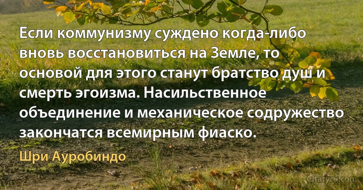 Если коммунизму суждено когда-либо вновь восстановиться на Земле, то основой для этого станут братство душ и смерть эгоизма. Насильственное объединение и механическое содружество закончатся всемирным фиаско. (Шри Ауробиндо)