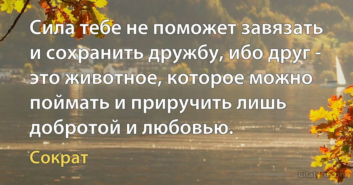 Сила тебе не поможет завязать и сохранить дружбу, ибо друг - это животное, которое можно поймать и приручить лишь добротой и любовью. (Сократ)