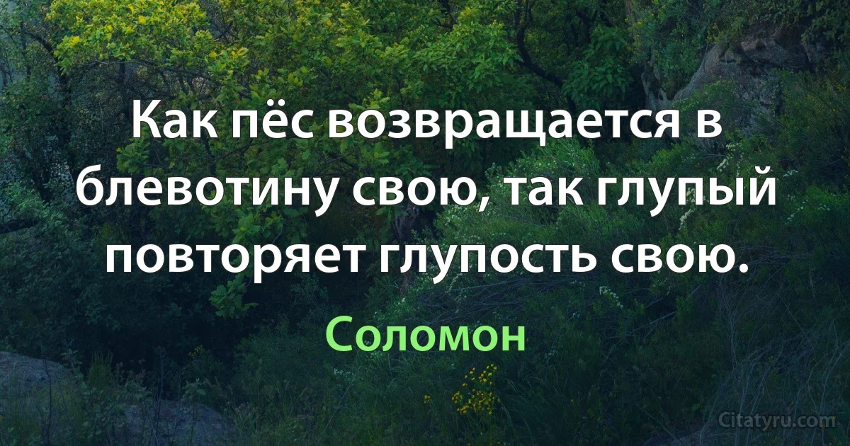 Как пёс возвращается в блевотину свою, так глупый повторяет глупость свою. (Соломон)