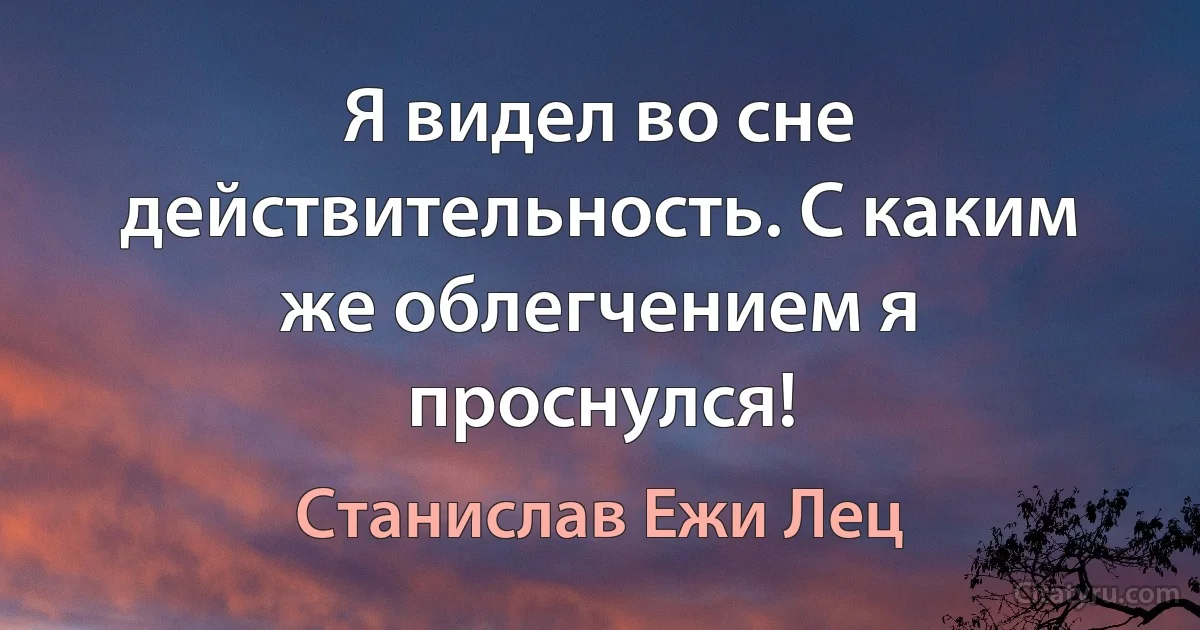 Я видел во сне действительность. С каким же облегчением я проснулся! (Станислав Ежи Лец)