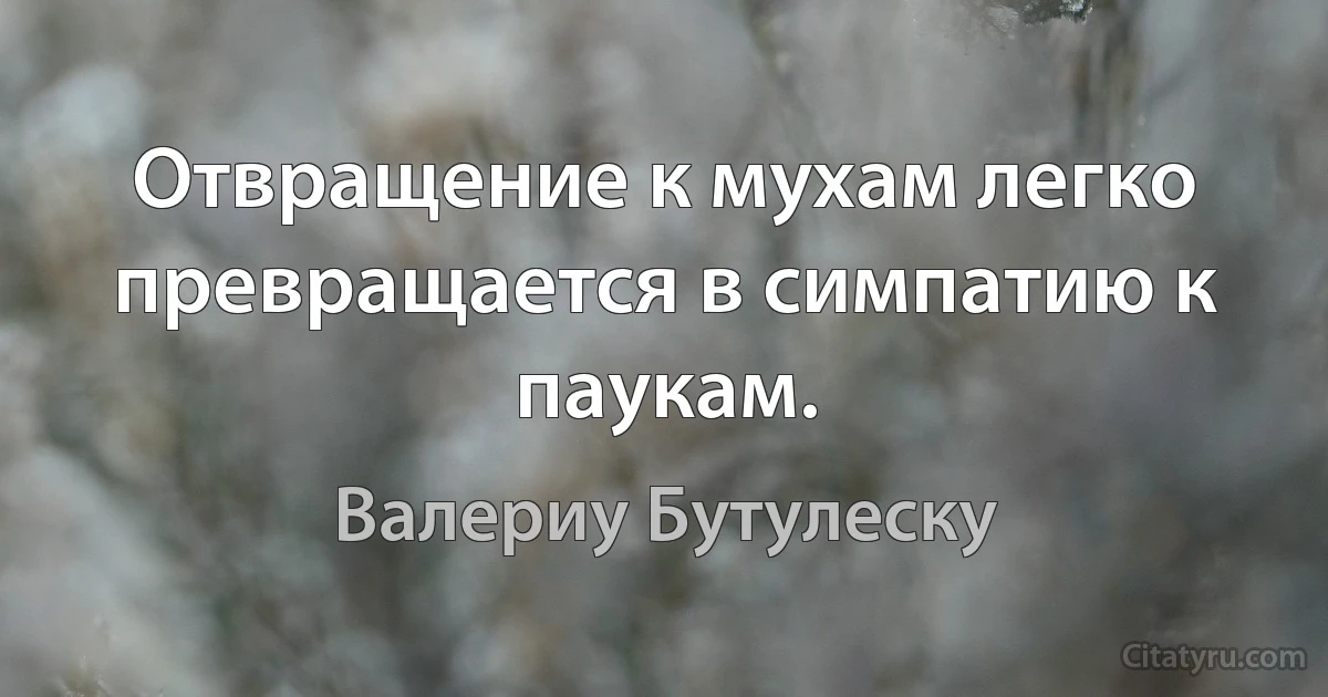 Отвращение к мухам легко превращается в симпатию к паукам. (Валериу Бутулеску)