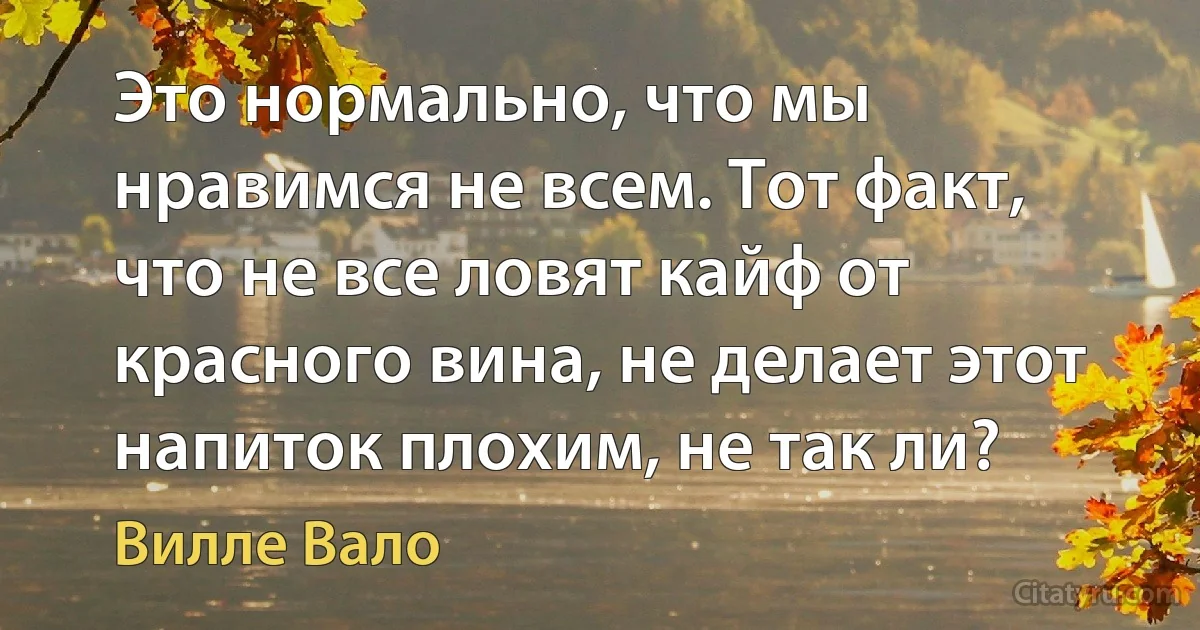 Это нормально, что мы нравимся не всем. Тот факт, что не все ловят кайф от красного вина, не делает этот напиток плохим, не так ли? (Вилле Вало)