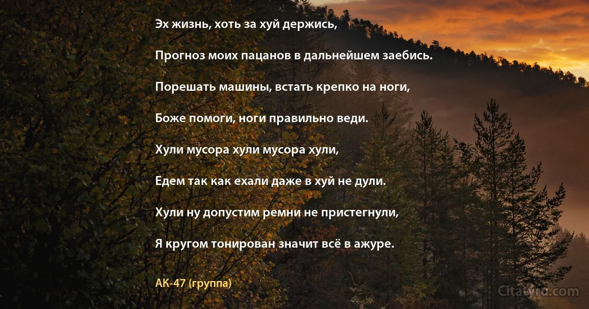 Эх жизнь, хоть за хуй держись,

Прогноз моих пацанов в дальнейшем заебись.

Порешать машины, встать крепко на ноги,

Боже помоги, ноги правильно веди.

Хули мусора хули мусора хули,

Едем так как ехали даже в хуй не дули.

Хули ну допустим ремни не пристегнули,

Я кругом тонирован значит всё в ажуре. (АК-47 (группа))